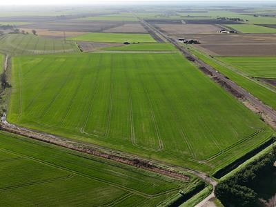 Click to view more details